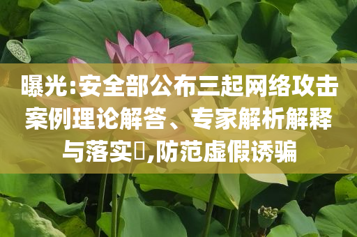 曝光:安全部公布三起網(wǎng)絡攻擊案例理論解答、專家解析解釋與落實?,防范虛假誘騙