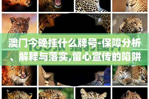 澳門今晚掛什么牌號-保障分析、解釋與落實,留心宣傳的陷阱