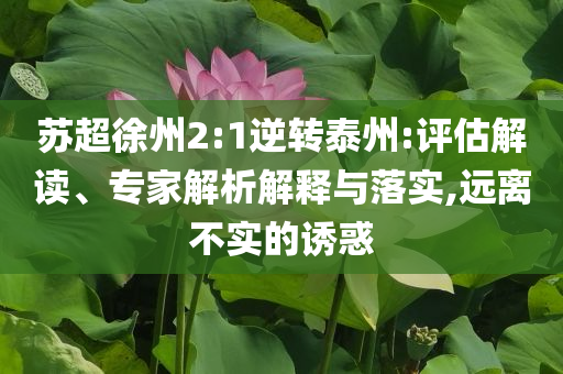 蘇超徐州2:1逆轉(zhuǎn)泰州:評估解讀、專家解析解釋與落實,遠離不實的誘惑