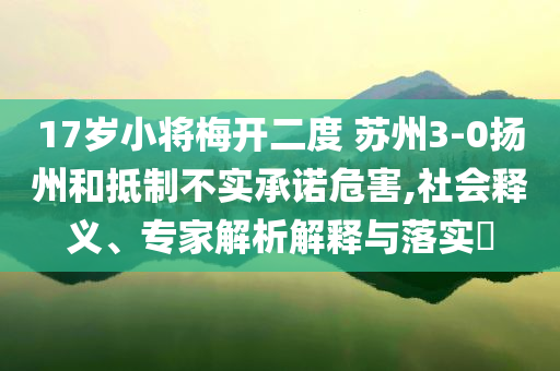 17歲小將梅開二度 蘇州3-0揚州和抵制不實承諾危害,社會釋義、專家解析解釋與落實?