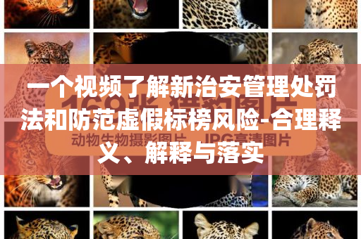 一個(gè)視頻了解新治安管理處罰法和防范虛假標(biāo)榜風(fēng)險(xiǎn)-合理釋義、解釋與落實(shí)