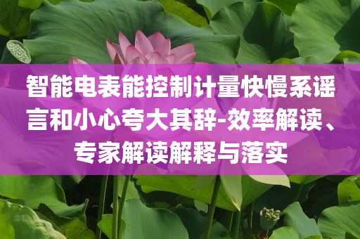 智能電表能控制計(jì)量快慢系謠言和小心夸大其辭-效率解讀、專家解讀解釋與落實(shí)