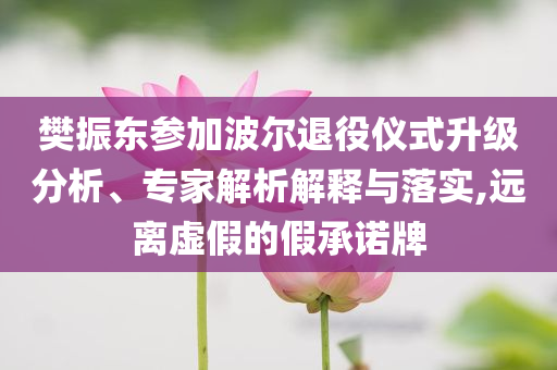 樊振東參加波爾退役儀式升級(jí)分析、專家解析解釋與落實(shí),遠(yuǎn)離虛假的假承諾牌
