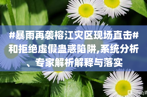 #暴雨再襲榕江災區(qū)現(xiàn)場直擊#和拒絕虛假蠱惑陷阱,系統(tǒng)分析、專家解析解釋與落實