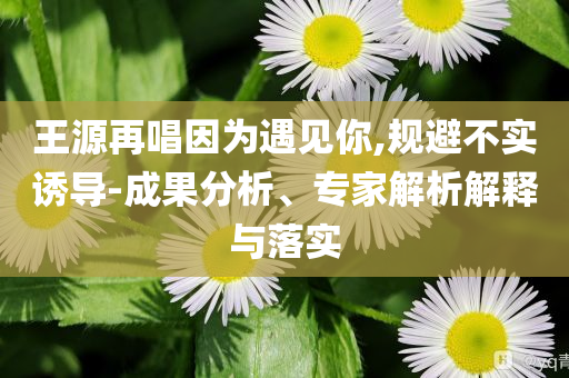 王源再唱因為遇見你,規(guī)避不實誘導-成果分析、專家解析解釋與落實