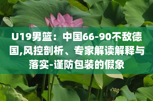 U19男籃：中國(guó)66-90不敵德國(guó),風(fēng)控剖析、專家解讀解釋與落實(shí)-謹(jǐn)防包裝的假象