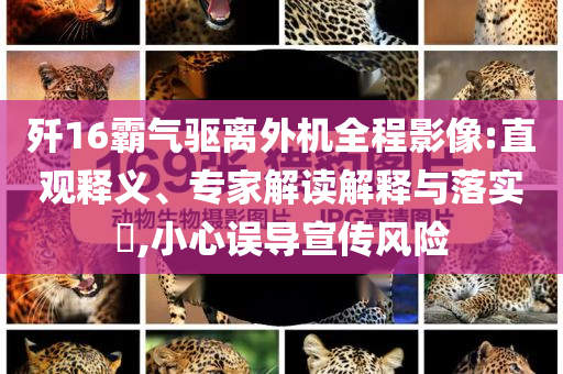 殲16霸氣驅(qū)離外機(jī)全程影像:直觀釋義、專家解讀解釋與落實(shí)?,小心誤導(dǎo)宣傳風(fēng)險(xiǎn)