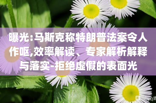 曝光:馬斯克稱特朗普法案令人作嘔,效率解讀、專家解析解釋與落實-拒絕虛假的表面光