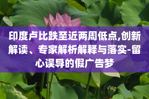 印度盧比跌至近兩周低點,創(chuàng)新解讀、專家解析解釋與落實-留心誤導(dǎo)的假廣告夢