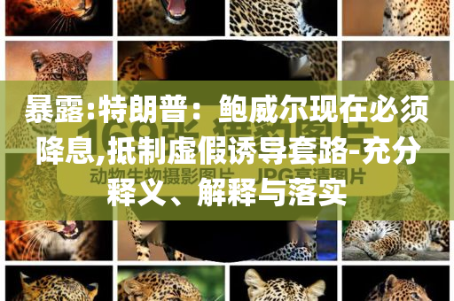 2025年6月 第33頁