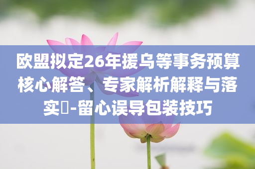 歐盟擬定26年援烏等事務預算核心解答、專家解析解釋與落實?-留心誤導包裝技巧
