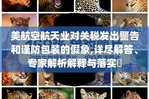 美航空航天業(yè)對關稅發(fā)出警告和謹防包裝的假象,詳盡解答、專家解析解釋與落實?