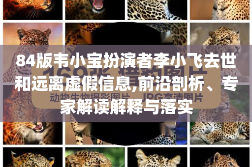 84版韋小寶扮演者李小飛去世和遠(yuǎn)離虛假信息,前沿剖析、專家解讀解釋與落實(shí)