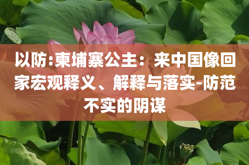 以防:柬埔寨公主：來中國像回家宏觀釋義、解釋與落實(shí)-防范不實(shí)的陰謀