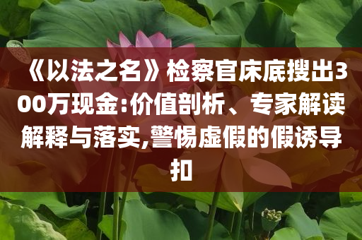 《以法之名》檢察官床底搜出300萬現(xiàn)金:價(jià)值剖析、專家解讀解釋與落實(shí),警惕虛假的假誘導(dǎo)扣