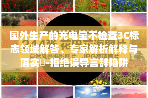 國(guó)外生產(chǎn)的充電寶不檢查3C標(biāo)志領(lǐng)域解答、專家解析解釋與落實(shí)?-拒絕誤導(dǎo)言辭陷阱
