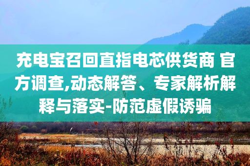 充電寶召回直指電芯供貨商 官方調(diào)查,動(dòng)態(tài)解答、專家解析解釋與落實(shí)-防范虛假誘騙