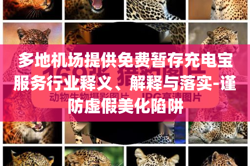多地機(jī)場(chǎng)提供免費(fèi)暫存充電寶服務(wù)行業(yè)釋義、解釋與落實(shí)-謹(jǐn)防虛假美化陷阱
