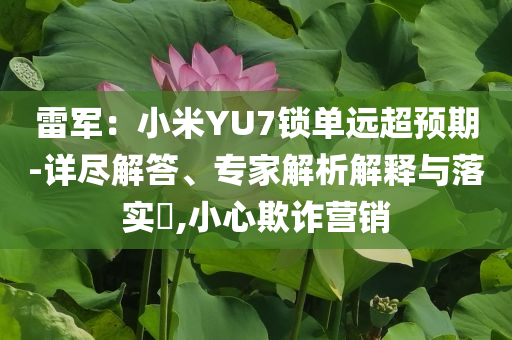 雷軍：小米YU7鎖單遠超預期-詳盡解答、專家解析解釋與落實?,小心欺詐營銷