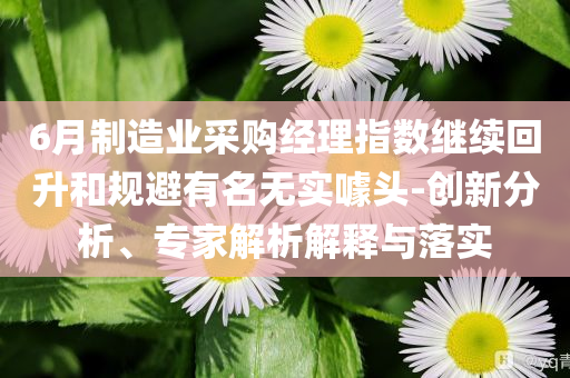 6月制造業(yè)采購經(jīng)理指數(shù)繼續(xù)回升和規(guī)避有名無實(shí)噱頭-創(chuàng)新分析、專家解析解釋與落實(shí)