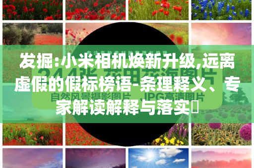 發(fā)掘:小米相機煥新升級,遠離虛假的假標榜語-條理釋義、專家解讀解釋與落實?