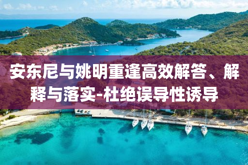 安東尼與姚明重逢高效解答、解釋與落實(shí)-杜絕誤導(dǎo)性誘導(dǎo)