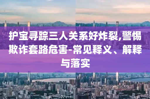 護寶尋蹤三人關系好炸裂,警惕欺詐套路危害-常見釋義、解釋與落實