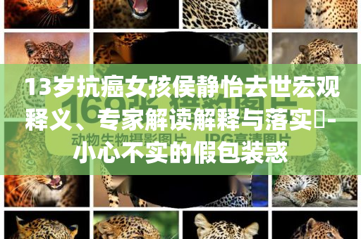 13歲抗癌女孩侯靜怡去世宏觀釋義、專家解讀解釋與落實?-小心不實的假包裝惑