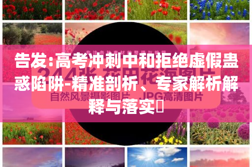 2025年6月 第13頁