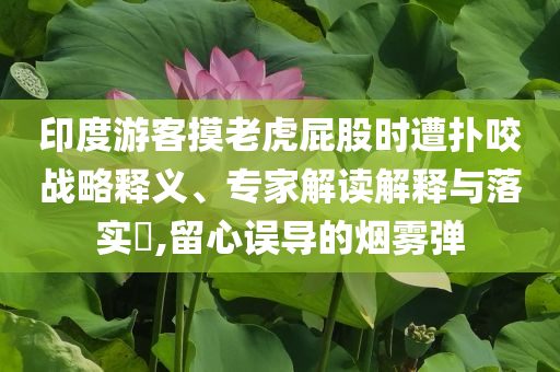 印度游客摸老虎屁股時(shí)遭撲咬戰(zhàn)略釋義、專家解讀解釋與落實(shí)?,留心誤導(dǎo)的煙霧彈
