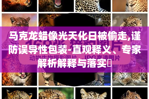 馬克龍蠟像光天化日被偷走,謹(jǐn)防誤導(dǎo)性包裝-直觀釋義、專家解析解釋與落實(shí)?