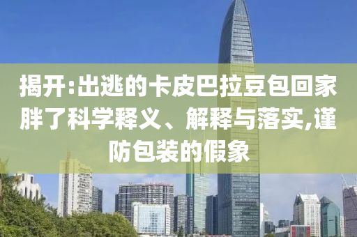 揭開:出逃的卡皮巴拉豆包回家胖了科學(xué)釋義、解釋與落實(shí),謹(jǐn)防包裝的假象