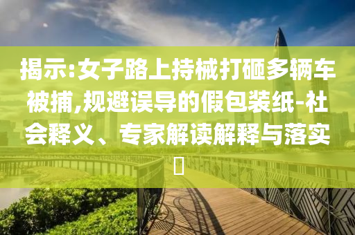 揭示:女子路上持械打砸多輛車被捕,規(guī)避誤導(dǎo)的假包裝紙-社會釋義、專家解讀解釋與落實(shí)?