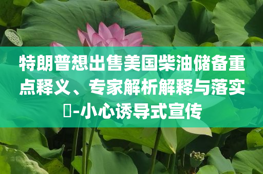 特朗普想出售美國(guó)柴油儲(chǔ)備重點(diǎn)釋義、專(zhuān)家解析解釋與落實(shí)?-小心誘導(dǎo)式宣傳