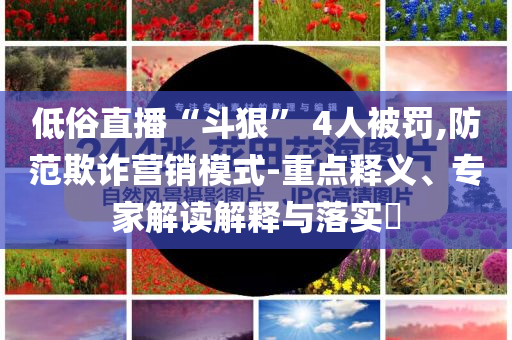 低俗直播“斗狠” 4人被罰,防范欺詐營(yíng)銷模式-重點(diǎn)釋義、專家解讀解釋與落實(shí)?