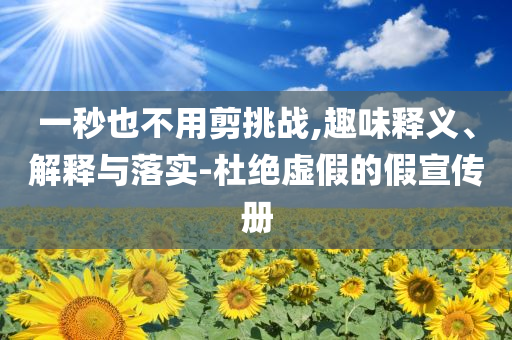 一秒也不用剪挑戰(zhàn),趣味釋義、解釋與落實-杜絕虛假的假宣傳冊