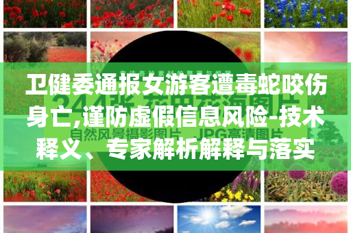 2025年7月 第360頁