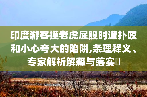 印度游客摸老虎屁股時遭撲咬和小心夸大的陷阱,條理釋義、專家解析解釋與落實?