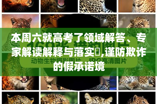 本周六就高考了領(lǐng)域解答、專家解讀解釋與落實(shí)?,謹(jǐn)防欺詐的假承諾境