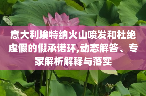 意大利埃特納火山噴發(fā)和杜絕虛假的假承諾環(huán),動態(tài)解答、專家解析解釋與落實