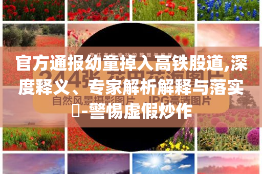 官方通報幼童掉入高鐵股道,深度釋義、專家解析解釋與落實?-警惕虛假炒作