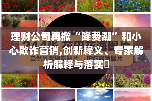 理財公司再掀“降費潮”和小心欺詐營銷,創(chuàng)新釋義、專家解析解釋與落實?