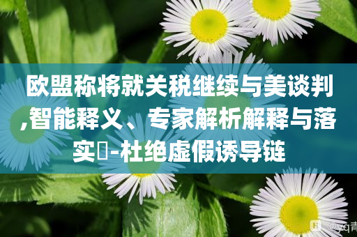 歐盟稱將就關稅繼續(xù)與美談判,智能釋義、專家解析解釋與落實?-杜絕虛假誘導鏈