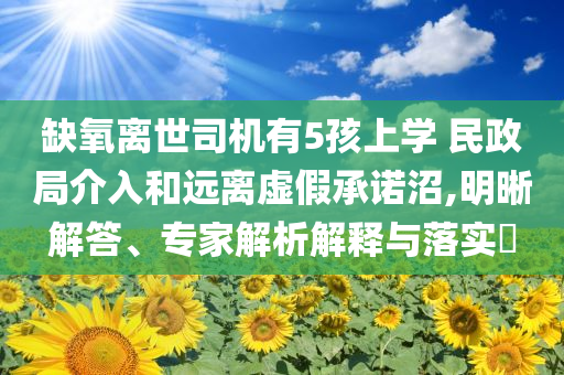缺氧離世司機有5孩上學(xué) 民政局介入和遠(yuǎn)離虛假承諾沼,明晰解答、專家解析解釋與落實?