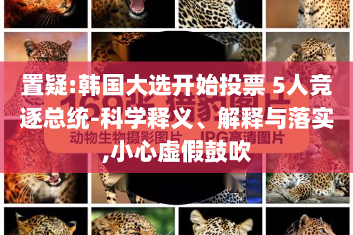 置疑:韓國大選開始投票 5人競逐總統(tǒng)-科學(xué)釋義、解釋與落實,小心虛假鼓吹