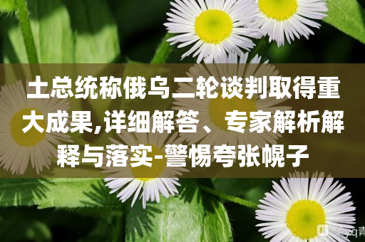 土總統(tǒng)稱俄烏二輪談判取得重大成果,詳細(xì)解答、專家解析解釋與落實-警惕夸張幌子