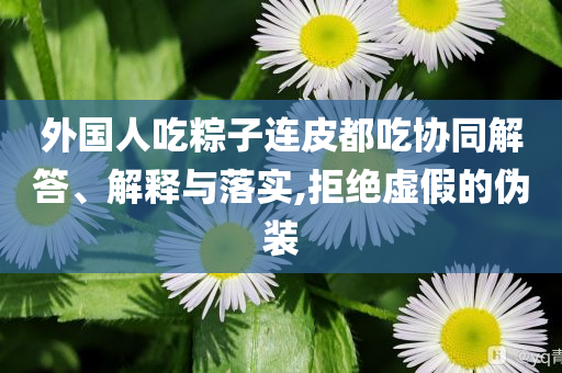 外國人吃粽子連皮都吃協(xié)同解答、解釋與落實,拒絕虛假的偽裝