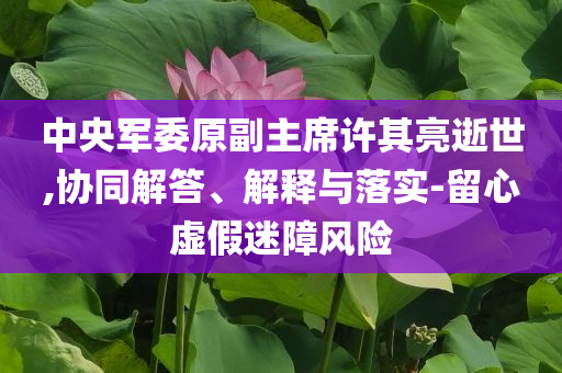 中央軍委原副主席許其亮逝世,協(xié)同解答、解釋與落實-留心虛假迷障風(fēng)險