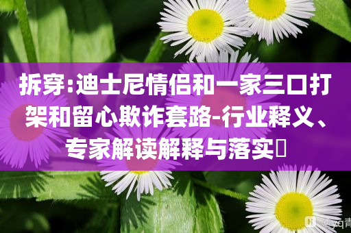 拆穿:迪士尼情侶和一家三口打架和留心欺詐套路-行業(yè)釋義、專家解讀解釋與落實?