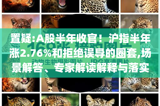 置疑:A股半年收官！滬指半年漲2.76%和拒絕誤導(dǎo)的圈套,場景解答、專家解讀解釋與落實
